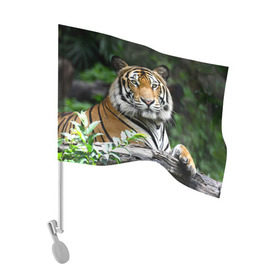 Флаг для автомобиля с принтом Тигр в джунглях , 100% полиэстер | Размер: 30*21 см | амурский | животные | зверь | киса | кот | котенок | кошка | тигр | хищник