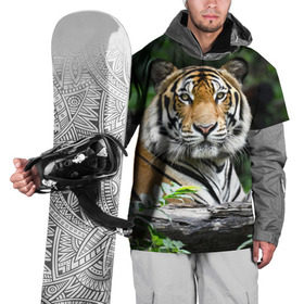 Накидка на куртку 3D с принтом Тигр в джунглях , 100% полиэстер |  | амурский | животные | зверь | киса | кот | котенок | кошка | тигр | хищник