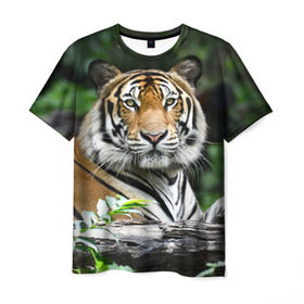 Мужская футболка 3D с принтом Тигр в джунглях , 100% полиэфир | прямой крой, круглый вырез горловины, длина до линии бедер | амурский | животные | зверь | киса | кот | котенок | кошка | тигр | хищник