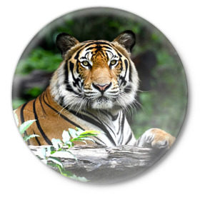 Значок с принтом Тигр в джунглях ,  металл | круглая форма, металлическая застежка в виде булавки | амурский | животные | зверь | киса | кот | котенок | кошка | тигр | хищник