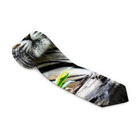 Галстук 3D с принтом Тигр в джунглях , 100% полиэстер | Длина 148 см; Плотность 150-180 г/м2 | амурский | животные | зверь | киса | кот | котенок | кошка | тигр | хищник