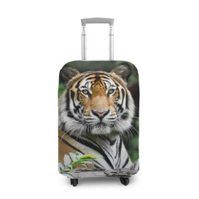Чехол для чемодана 3D с принтом Тигр в джунглях , 86% полиэфир, 14% спандекс | двустороннее нанесение принта, прорези для ручек и колес | Тематика изображения на принте: амурский | животные | зверь | киса | кот | котенок | кошка | тигр | хищник
