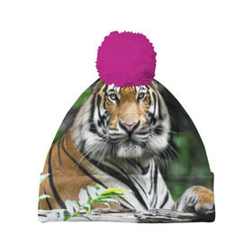 Шапка 3D c помпоном с принтом Тигр в джунглях , 100% полиэстер | универсальный размер, печать по всей поверхности изделия | Тематика изображения на принте: амурский | животные | зверь | киса | кот | котенок | кошка | тигр | хищник