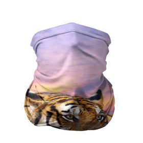 Бандана-труба 3D с принтом Тигр , 100% полиэстер, ткань с особыми свойствами — Activecool | плотность 150‒180 г/м2; хорошо тянется, но сохраняет форму | амурский | животные | зверь | киса | кот | котенок | кошка | тигр | хищник