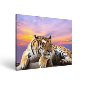 Холст прямоугольный с принтом Тигр , 100% ПВХ |  | амурский | животные | зверь | киса | кот | котенок | кошка | тигр | хищник