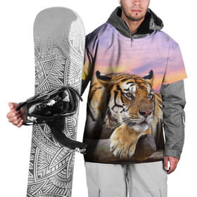 Накидка на куртку 3D с принтом Тигр , 100% полиэстер |  | амурский | животные | зверь | киса | кот | котенок | кошка | тигр | хищник