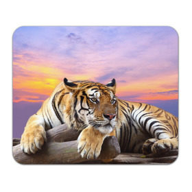 Коврик прямоугольный с принтом Тигр , натуральный каучук | размер 230 х 185 мм; запечатка лицевой стороны | амурский | животные | зверь | киса | кот | котенок | кошка | тигр | хищник