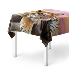 Скатерть 3D с принтом Тигр , 100% полиэстер (ткань не мнется и не растягивается) | Размер: 150*150 см | амурский | животные | зверь | киса | кот | котенок | кошка | тигр | хищник