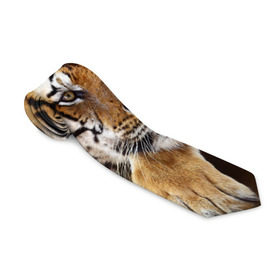 Галстук 3D с принтом Тигр , 100% полиэстер | Длина 148 см; Плотность 150-180 г/м2 | амурский | животные | зверь | киса | кот | котенок | кошка | тигр | хищник