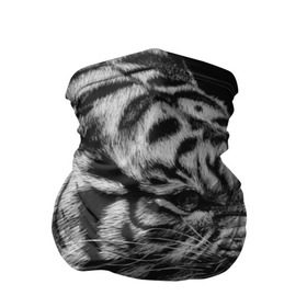 Бандана-труба 3D с принтом Тигр , 100% полиэстер, ткань с особыми свойствами — Activecool | плотность 150‒180 г/м2; хорошо тянется, но сохраняет форму | амурский | животные | зверь | киса | кот | котенок | кошка | серый | тигр | тигренок | хищник