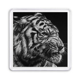 Магнит 55*55 с принтом Тигр , Пластик | Размер: 65*65 мм; Размер печати: 55*55 мм | Тематика изображения на принте: амурский | животные | зверь | киса | кот | котенок | кошка | серый | тигр | тигренок | хищник