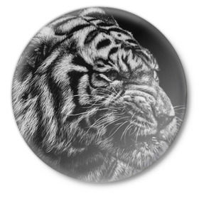 Значок с принтом Тигр ,  металл | круглая форма, металлическая застежка в виде булавки | Тематика изображения на принте: амурский | животные | зверь | киса | кот | котенок | кошка | серый | тигр | тигренок | хищник