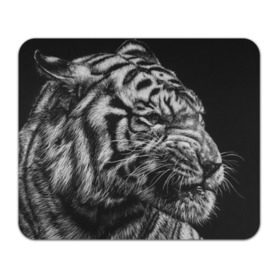 Коврик прямоугольный с принтом Тигр , натуральный каучук | размер 230 х 185 мм; запечатка лицевой стороны | Тематика изображения на принте: амурский | животные | зверь | киса | кот | котенок | кошка | серый | тигр | тигренок | хищник