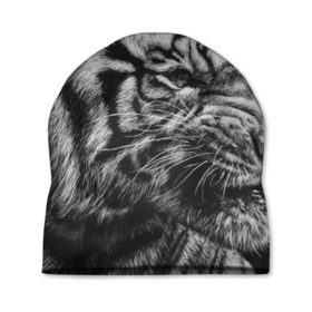 Шапка 3D с принтом Тигр , 100% полиэстер | универсальный размер, печать по всей поверхности изделия | Тематика изображения на принте: амурский | животные | зверь | киса | кот | котенок | кошка | серый | тигр | тигренок | хищник