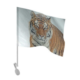 Флаг для автомобиля с принтом Тигр , 100% полиэстер | Размер: 30*21 см | амурский | животные | зверь | киса | кот | котенок | кошка | тигр | хищник