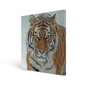 Холст квадратный с принтом Тигр , 100% ПВХ |  | Тематика изображения на принте: амурский | животные | зверь | киса | кот | котенок | кошка | тигр | хищник