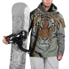 Накидка на куртку 3D с принтом Тигр , 100% полиэстер |  | амурский | животные | зверь | киса | кот | котенок | кошка | тигр | хищник
