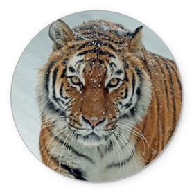 Коврик круглый с принтом Тигр , резина и полиэстер | круглая форма, изображение наносится на всю лицевую часть | амурский | животные | зверь | киса | кот | котенок | кошка | тигр | хищник