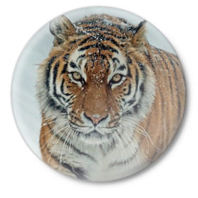 Значок с принтом Тигр ,  металл | круглая форма, металлическая застежка в виде булавки | Тематика изображения на принте: амурский | животные | зверь | киса | кот | котенок | кошка | тигр | хищник