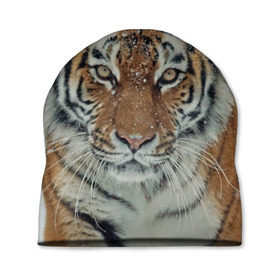 Шапка 3D с принтом Тигр , 100% полиэстер | универсальный размер, печать по всей поверхности изделия | амурский | животные | зверь | киса | кот | котенок | кошка | тигр | хищник