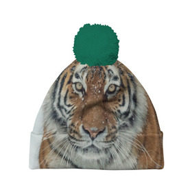 Шапка 3D c помпоном с принтом Тигр , 100% полиэстер | универсальный размер, печать по всей поверхности изделия | амурский | животные | зверь | киса | кот | котенок | кошка | тигр | хищник
