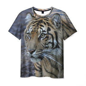 Мужская футболка 3D с принтом Тигр , 100% полиэфир | прямой крой, круглый вырез горловины, длина до линии бедер | амурский | животные | зверь | киса | кот | котенок | кошка | тигр | хищник