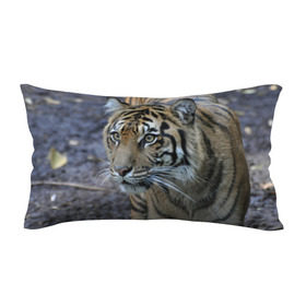 Подушка 3D антистресс с принтом Тигр , наволочка — 100% полиэстер, наполнитель — вспененный полистирол | состоит из подушки и наволочки на молнии | амурский | животные | зверь | киса | кот | котенок | кошка | тигр | хищник