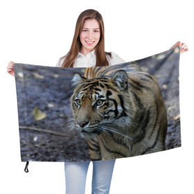Флаг 3D с принтом Тигр , 100% полиэстер | плотность ткани — 95 г/м2, размер — 67 х 109 см. Принт наносится с одной стороны | амурский | животные | зверь | киса | кот | котенок | кошка | тигр | хищник