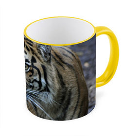 Кружка 3D с принтом Тигр , керамика | ёмкость 330 мл | амурский | животные | зверь | киса | кот | котенок | кошка | тигр | хищник