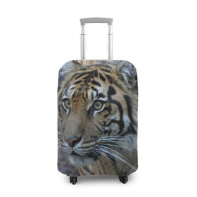 Чехол для чемодана 3D с принтом Тигр , 86% полиэфир, 14% спандекс | двустороннее нанесение принта, прорези для ручек и колес | амурский | животные | зверь | киса | кот | котенок | кошка | тигр | хищник