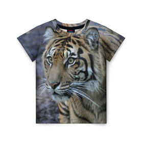 Детская футболка 3D с принтом Тигр , 100% гипоаллергенный полиэфир | прямой крой, круглый вырез горловины, длина до линии бедер, чуть спущенное плечо, ткань немного тянется | амурский | животные | зверь | киса | кот | котенок | кошка | тигр | хищник