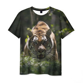 Мужская футболка 3D с принтом Тигр , 100% полиэфир | прямой крой, круглый вырез горловины, длина до линии бедер | амурский | животные | зверь | киса | кот | котенок | кошка | тигр | хищник