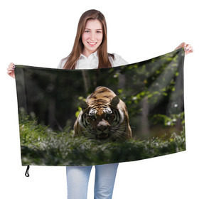 Флаг 3D с принтом Тигр , 100% полиэстер | плотность ткани — 95 г/м2, размер — 67 х 109 см. Принт наносится с одной стороны | амурский | животные | зверь | киса | кот | котенок | кошка | тигр | хищник
