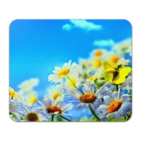 Коврик прямоугольный с принтом Ромашка полевая , натуральный каучук | размер 230 х 185 мм; запечатка лицевой стороны | Тематика изображения на принте: flower | лето | поле | полевой цветок | цветочки | цветы