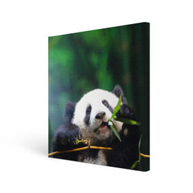 Холст квадратный с принтом Панда на ветке , 100% ПВХ |  | Тематика изображения на принте: животные | лес | медведь | медвежонок | панда | природа