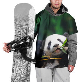 Накидка на куртку 3D с принтом Панда на ветке , 100% полиэстер |  | Тематика изображения на принте: животные | лес | медведь | медвежонок | панда | природа