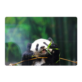 Магнитный плакат 3Х2 с принтом Панда на ветке , Полимерный материал с магнитным слоем | 6 деталей размером 9*9 см | животные | лес | медведь | медвежонок | панда | природа