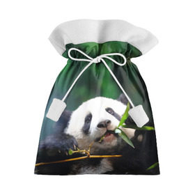 Подарочный 3D мешок с принтом Панда на ветке , 100% полиэстер | Размер: 29*39 см | животные | лес | медведь | медвежонок | панда | природа