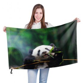 Флаг 3D с принтом Панда на ветке , 100% полиэстер | плотность ткани — 95 г/м2, размер — 67 х 109 см. Принт наносится с одной стороны | животные | лес | медведь | медвежонок | панда | природа