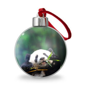 Ёлочный шар с принтом Панда на ветке , Пластик | Диаметр: 77 мм | животные | лес | медведь | медвежонок | панда | природа
