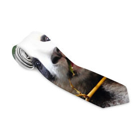 Галстук 3D с принтом Панда на ветке , 100% полиэстер | Длина 148 см; Плотность 150-180 г/м2 | животные | лес | медведь | медвежонок | панда | природа
