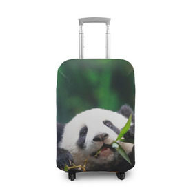 Чехол для чемодана 3D с принтом Панда на ветке , 86% полиэфир, 14% спандекс | двустороннее нанесение принта, прорези для ручек и колес | животные | лес | медведь | медвежонок | панда | природа