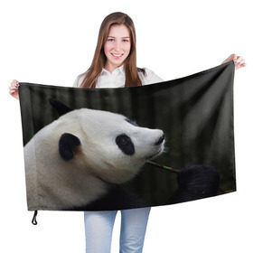 Флаг 3D с принтом Панда , 100% полиэстер | плотность ткани — 95 г/м2, размер — 67 х 109 см. Принт наносится с одной стороны | 