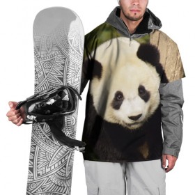 Накидка на куртку 3D с принтом Панда на дереве , 100% полиэстер |  | животные | лес | медведь | медвежонок | панда | природа