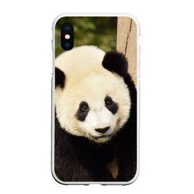 Чехол для iPhone XS Max матовый с принтом Панда на дереве , Силикон | Область печати: задняя сторона чехла, без боковых панелей | животные | лес | медведь | медвежонок | панда | природа