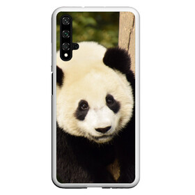 Чехол для Honor 20 с принтом Панда на дереве , Силикон | Область печати: задняя сторона чехла, без боковых панелей | животные | лес | медведь | медвежонок | панда | природа