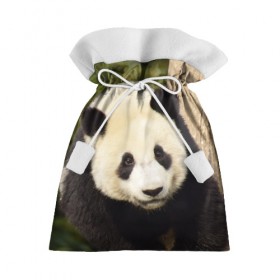 Подарочный 3D мешок с принтом Панда на дереве , 100% полиэстер | Размер: 29*39 см | Тематика изображения на принте: животные | лес | медведь | медвежонок | панда | природа