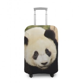 Чехол для чемодана 3D с принтом Панда на дереве , 86% полиэфир, 14% спандекс | двустороннее нанесение принта, прорези для ручек и колес | животные | лес | медведь | медвежонок | панда | природа