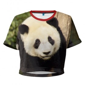 Женская футболка 3D укороченная с принтом Панда на дереве , 100% полиэстер | круглая горловина, длина футболки до линии талии, рукава с отворотами | животные | лес | медведь | медвежонок | панда | природа