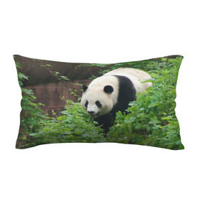 Подушка 3D антистресс с принтом Панда в лесу , наволочка — 100% полиэстер, наполнитель — вспененный полистирол | состоит из подушки и наволочки на молнии | животные | лес | медведь | медвежонок | панда | природа